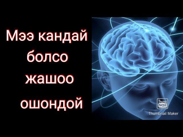 АУДИО КИТЕП ЦИТАТАЛАР алтын создор жанылыктар кыргызча кино ырлар.