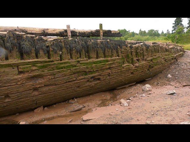 Erosion unearths lost 19th-century sailing vessels in Nova Scotia