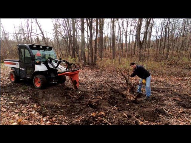  Bobcat Toolcat Tree Stump Removal with DIY Stump Bucket