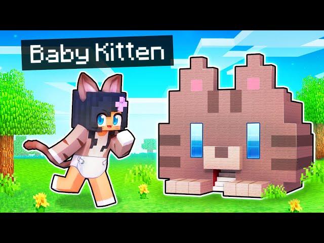 My SECRET Base in a Minecraft BABY KITTEN House!