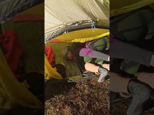 Палатка в иголочках