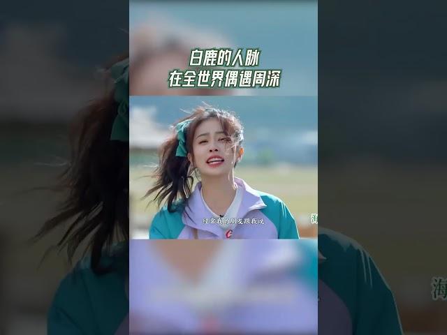 白鹿的人脉在全世界偶遇周深 #奔跑吧茶马古道篇