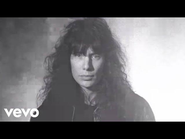 Mr. Big - Just Take My Heart (MV)