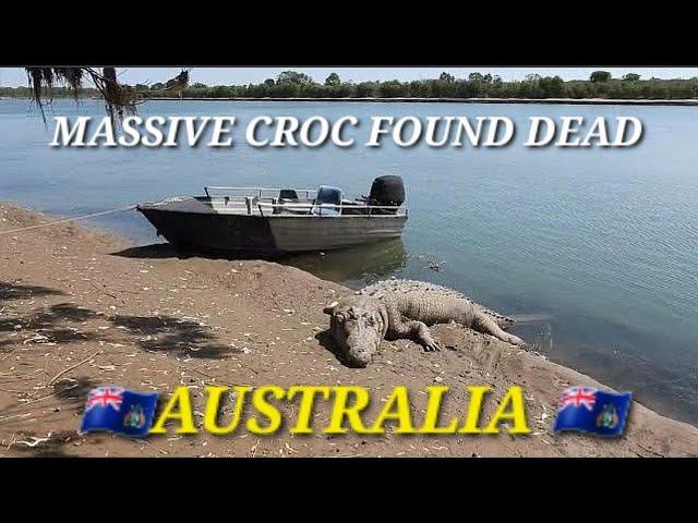 Massive Croc -- found dead on the bank