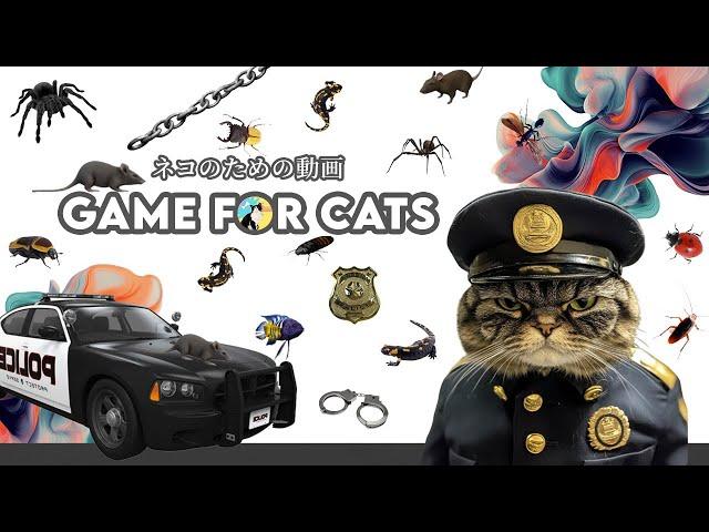 Cat Game - Cat TV | Latest Collection of Games for Cats | Vol 2 - 2024 | 11 Hours