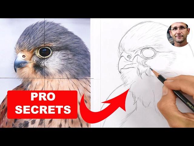 FREEHAND Drawing Lesson - Learn to draw TODAY - Pro Artist Jason Morgans TIPS