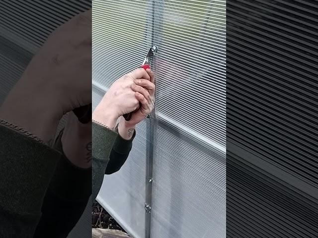 Теплицы в Краснобродском. Сотовый поликарбонат, чехлы армированные.