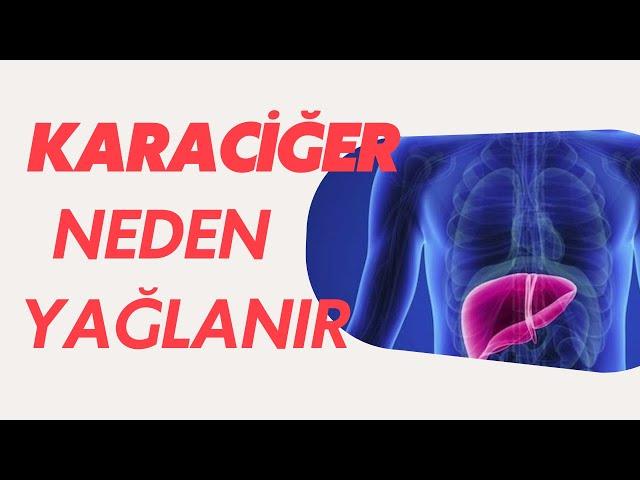 Karaciğer Yağlanması Nedir?  Karaciğer Neden Yağlanır / Doç. Dr. Mehmet Akif Öztürk