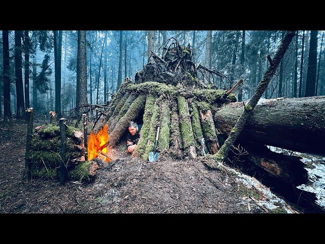 BUILT A SHELTER AT THE ROOT OF A HUGE TREE. SECRET REFUGE IN THE OLD FOREST. CAMPING IN THE WILDLIFE