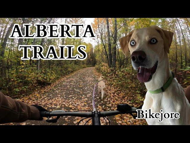 Pigeon Lake Provincial Park Trail - Bikejore