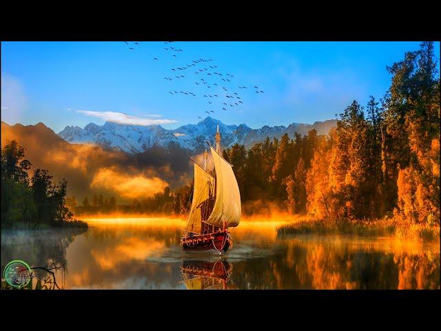 Relaxing Piano Music, Deep Sleep Music, Relaxing Music, Studying Music, Stress Relief Music  ⭐️ 24