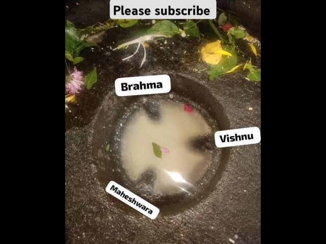 #trimbakeshwar_temple #triumvirate #viralvideo #ancient