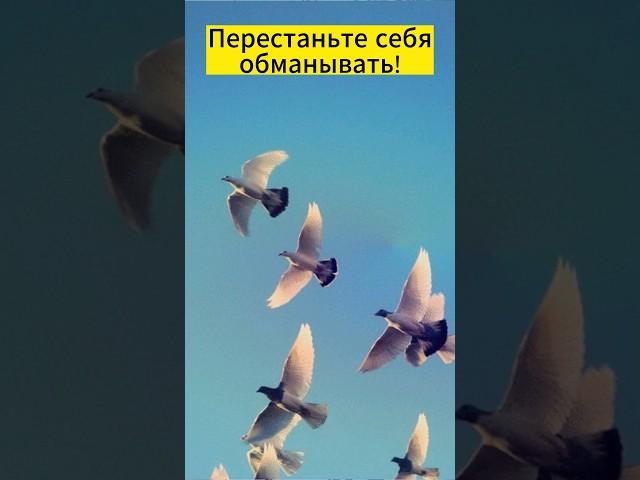 Перестаньте себя обманывать!