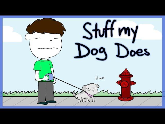 Stuff My Dog Does