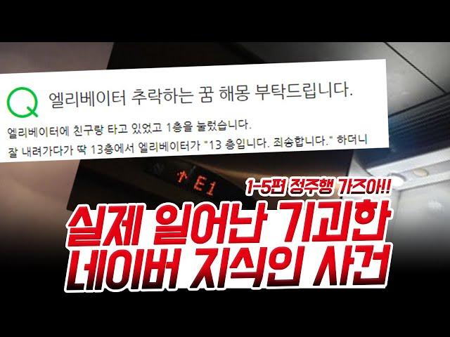 실제 일어난 기괴한 지식인 사건 1-4편 정주행