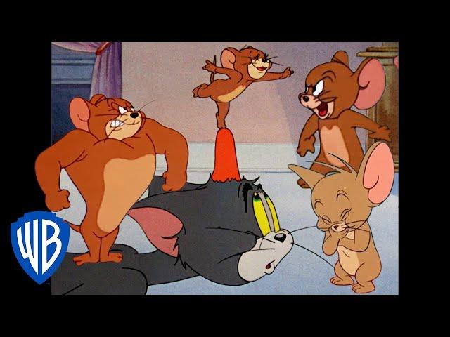 Tom und Jerry auf Deutsch  | Jerry in voller Stärke  | WB Kids