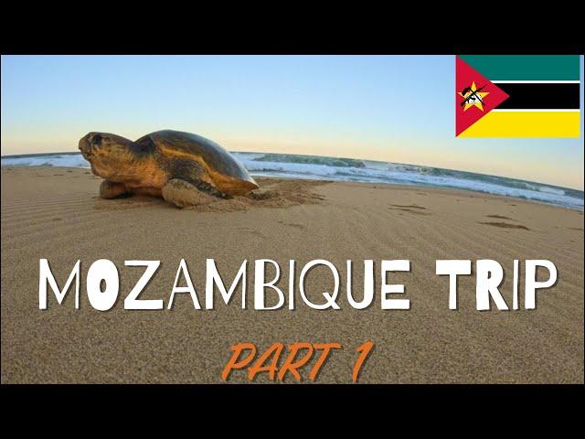 The Ultimate Mozambique Adventure: Kayak Fishing, Spearfishing, and Snorkeling! // PART 1