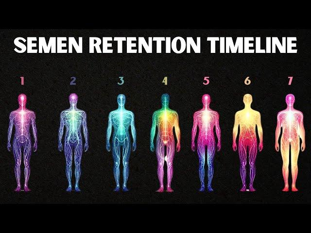 THE 7 STAGES OF SEMEN RETENTION