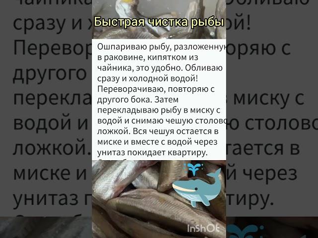 Как легко почистить рыбу . #советы#лайфхаки#рецепты#рыба#рыбалка