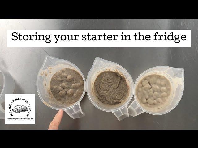 Storing your sourdough starter in the fridge