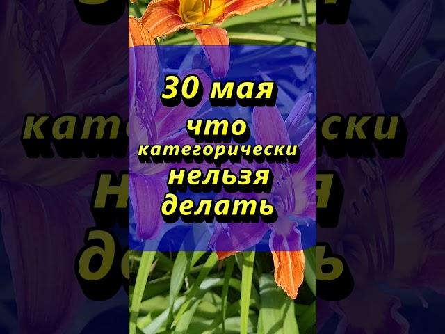30 мая что категорически нельзя делать