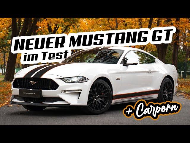 Der neue Ford Mustang aus 2020! | Die Erde bebt! 5.0 Liter V8 Sauger im Test | Die Autogesellschaft