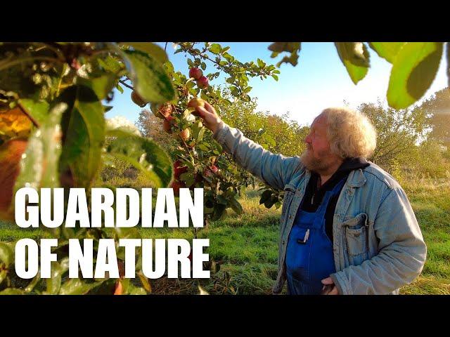 Incredible Organic Orchard Protects 350 Old Apple Varieties