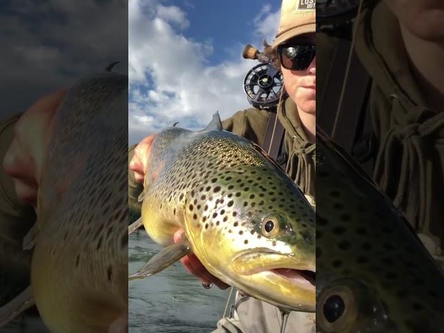 Watch the full video on my channel#fishing #flyfishinglife #troutfishing #flyfishing