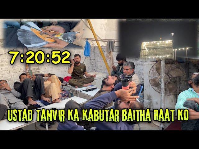 Ustad Tanveer ka kabootar betha raat ko 7:20:52|| Ustad ch kamran