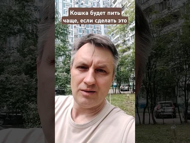 Кошка будет пить воду чаще, если не купите эту миску