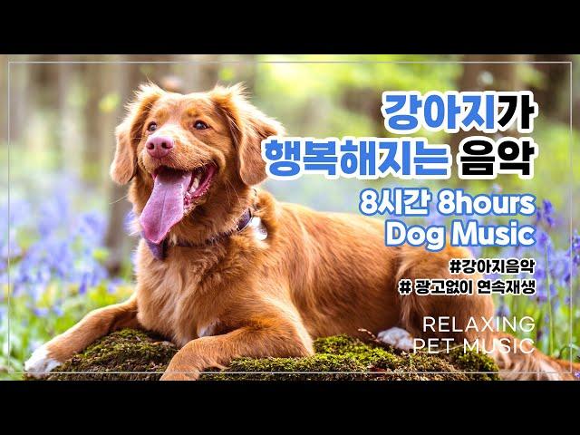 8시간 광고없이 연속재생 혼자있는 강아지를 위한 스트레스해소 기분전환 음악 Stress Relief Relaxing Music for Dog