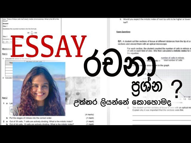 රචනා ප්‍රශ්ණ වලට උත්තර ලියන්න පුරුදු වෙන්නේ කොහොම ද?  | Essays and Structured Essays