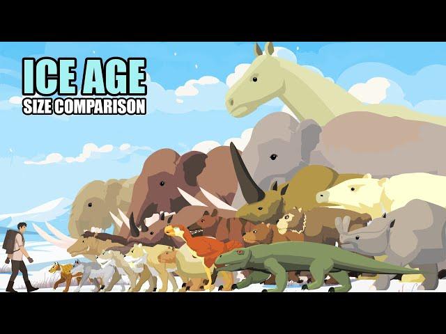 Prehistoric Animals Size Comparison | Animal Animation