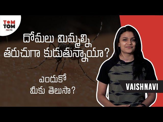 Facts About Mosquitoes | Vaishnavi | Facts | Telugu Facts | TomTom Facts #facts