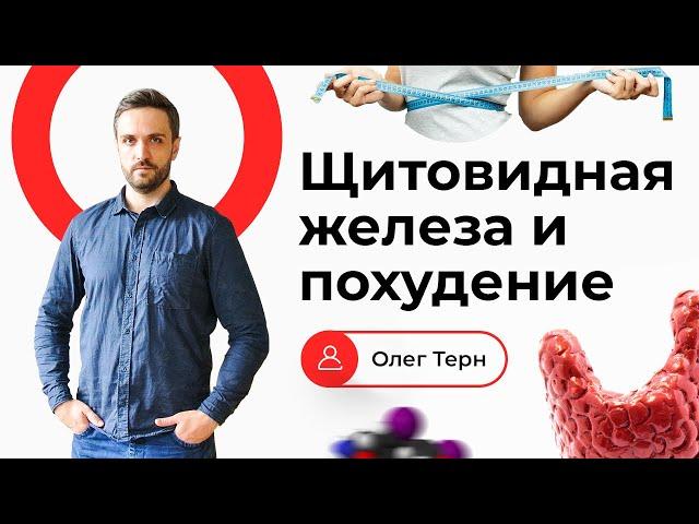 Помогает ли щитовидная железа худеть? Щитовидка и похудение