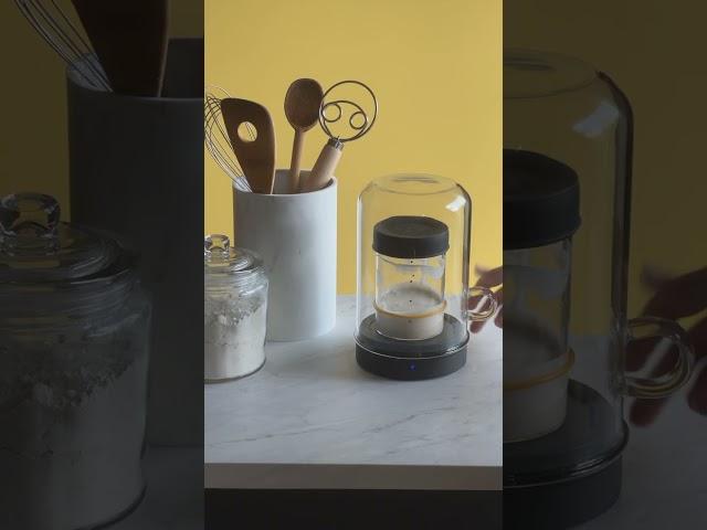 Using Goldie by Sourhouse - Can I keep Goldie on 24/7? - #sourdough