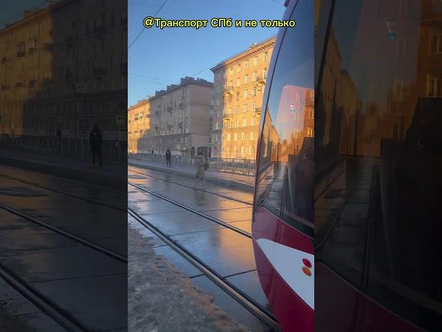 ️Январь 2025️ Трамваи Санкт-Петербурга #спб #топ #зима @SanktPetersburg22