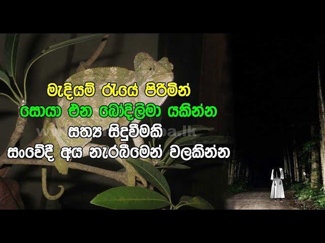 මැදියම් රැයේ පිරිමින් සොයා එන බෝදිලිමා mystery story of bodilima