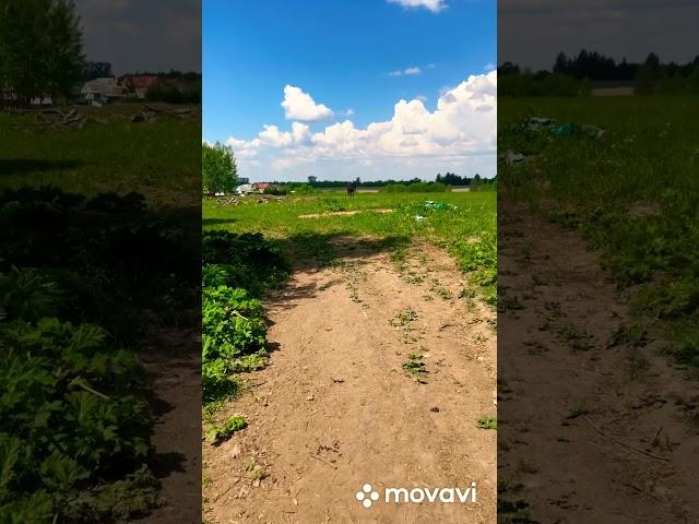 Деревня больше чем квартира