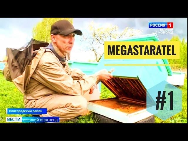 MegaStaratel: моё #пчеловодство - часть #1