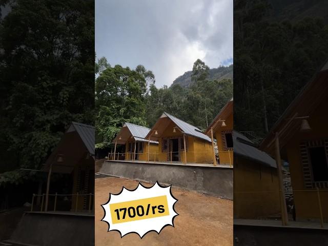 vattavada stay  9944151997