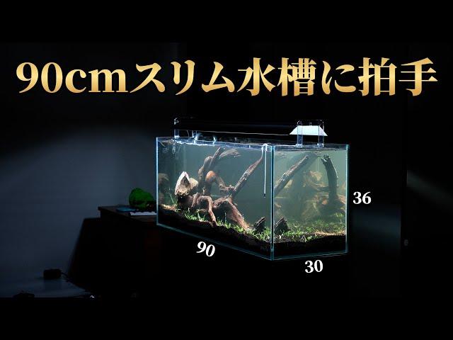 Set up a 90cm slim aquarium in the living room of a newly built house