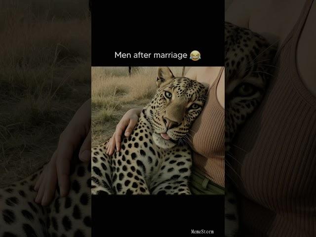 “Daily dose of funny memes!  #MemeStorm, #DailyLaughs, #Relatable, #Shorts”