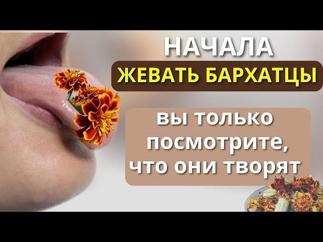 В Аптеке этого не Расскажут. Что творят Бархатцы с организмом