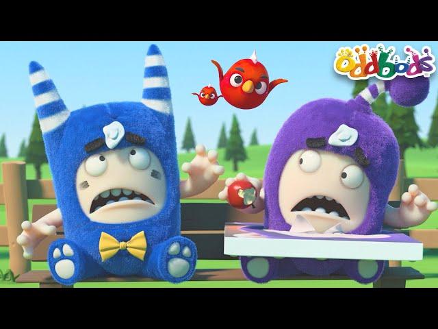 Don't Look Up | Full Episodes | Oddbods | Cartoons for Kids