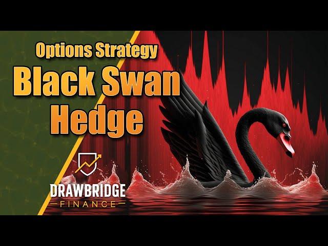 Black Swan Hedge Option Trade & Google Sheets BSH Tracker Summary