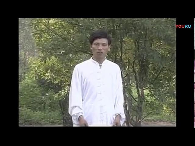 Chen taijiquan xiaojia video course by master Chen Ruihua