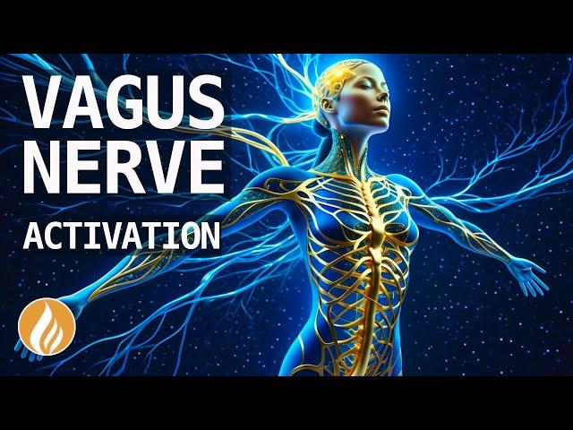 Discover the Benefits of Vagus Nerve Activation with 2 Hz + 90 Hz Frequency Music