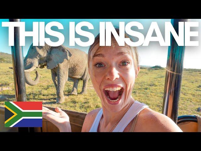 BEST SAFARI near CAPE TOWN South Africa