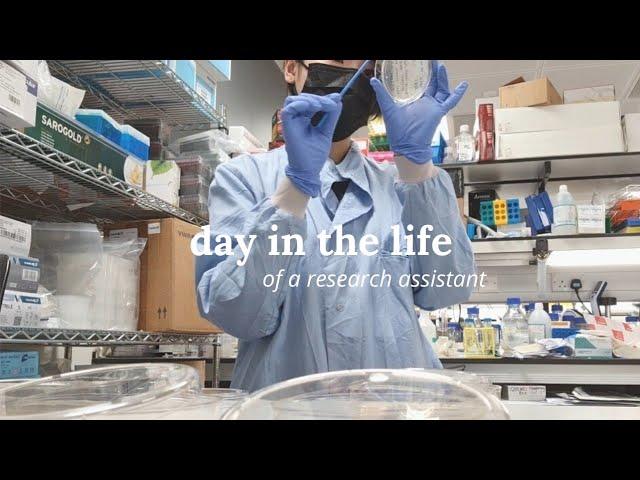 cambridge research vlog | realistic day in the life of a research assistant at cambridge university